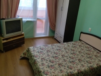 1-комнатная квартира посуточно Екатеринбург, Опалихинская, 19: Фотография 2