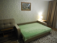 1-комнатная квартира посуточно Хабаровск, Ким-Ю-Чена, 79: Фотография 6