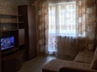 1-комнатная квартира посуточно Челябинск, Комсомольский проспект, 13: Фотография 2
