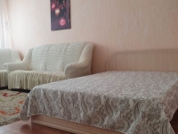 1-комнатная квартира посуточно Пермь, Екатерининская, 141: Фотография 2