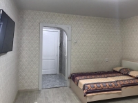 1-комнатная квартира посуточно Саратов, Блинова, 35: Фотография 2