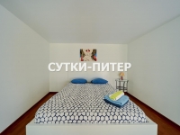 1-комнатная квартира посуточно Санкт-Петербург, Невский проспект, 18: Фотография 5