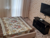 1-комнатная квартира посуточно Ставрополь, Спартака , 2: Фотография 12