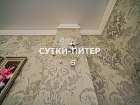 2-комнатная квартира посуточно Санкт-Петербург, Пушкинская улица, 3: Фотография 36