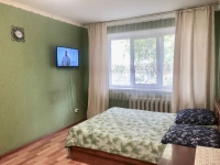 1-комнатная квартира посуточно Челябинск, Дзержинского, 85: Фотография 2