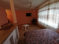 1-комнатная квартира посуточно Борисов, чапаева, 17: Фотография 4