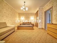 1-комнатная квартира посуточно Санкт-Петербург, Полтавский проезд, 2: Фотография 10