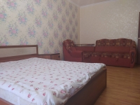 1-комнатная квартира посуточно Тюмень, Грибоедова, 13к1: Фотография 4