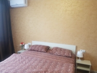 2-комнатная квартира посуточно Краснодар, Калинина , 350: Фотография 5