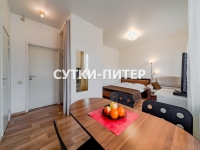 1-комнатная квартира посуточно Санкт-Петербург, Невский пр. , 146: Фотография 13