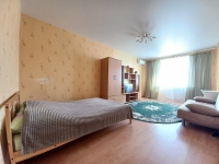 1-комнатная квартира посуточно Нижний Новгород, Краснозвездная, 9: Фотография 11
