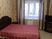 1-комнатная квартира посуточно Рязань, Вокзальная, 65: Фотография 2