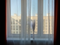 1-комнатная квартира посуточно Екатеринбург, улица Академика Парина, 38: Фотография 4