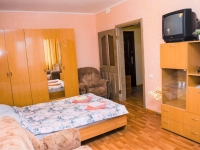 1-комнатная квартира посуточно Санкт-Петербург, Марата , 9: Фотография 8