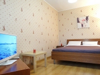 1-комнатная квартира посуточно Екатеринбург, Предельная , 14: Фотография 2