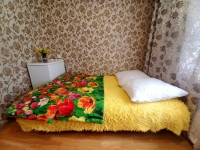 1-комнатная квартира посуточно Красноярск, парашютная, 21: Фотография 2