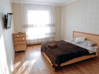 1-комнатная квартира посуточно Екатеринбург, ШЕЙНКМАНА , 19: Фотография 2
