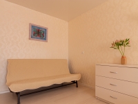 2-комнатная квартира посуточно Нижний Новгород,  Ул. Белинского, Исторический Центр , 85: Фотография 14