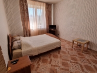 1-комнатная квартира посуточно Саранск, Короленко, 8: Фотография 2