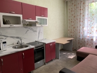1-комнатная квартира посуточно Красноярск, Вильского, 16: Фотография 3