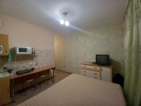 1-комнатная квартира посуточно Нижний Новгород, Южный бульвар, 10: Фотография 3