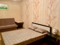 1-комнатная квартира посуточно Нижневартовск, Чапаева, 15 корп. 2: Фотография 3