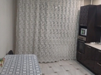 1-комнатная квартира посуточно Казань, Чистопольская , 59: Фотография 5