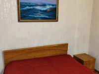 1-комнатная квартира посуточно Рязань, Каширина, 8: Фотография 2
