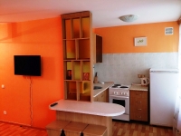 1-комнатная квартира посуточно Новосибирск, Челюскинцев, 14: Фотография 3