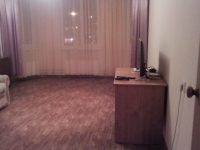 1-комнатная квартира посуточно Нижний Новгород, Островского, 7: Фотография 5