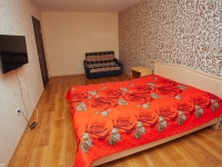1-комнатная квартира посуточно Екатеринбург, Фурманова , 62: Фотография 3