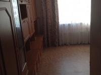 1-комнатная квартира посуточно Нижний Новгород, Бурнаковская , 87: Фотография 4