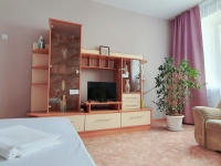1-комнатная квартира посуточно Барнаул, Проспект Калинина, 3: Фотография 2