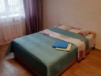 1-комнатная квартира посуточно Челябинск, Цвиллинга, 79: Фотография 11