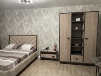 1-комнатная квартира посуточно Барнаул, Власихинская, 65А к2: Фотография 4