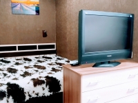 1-комнатная квартира посуточно Новосибирск, Ленина , 75: Фотография 4