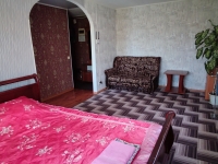 1-комнатная квартира посуточно Дзержинск, ул. Гайдара, 60: Фотография 2