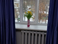 1-комнатная квартира посуточно Кострома, Просёлочная, 32: Фотография 3