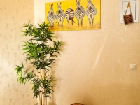 1-комнатная квартира посуточно Ростов-на-Дону, Солженицына , 24/23: Фотография 4