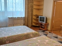 1-комнатная квартира посуточно Челябинск, улица Ловина, 18: Фотография 11