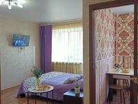1-комнатная квартира посуточно Ярославль, проспект Толбухина, 64: Фотография 9