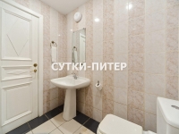 3-комнатная квартира посуточно Санкт-Петербург, Невский пр. , 63: Фотография 36
