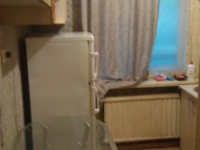 1-комнатная квартира посуточно Санкт-Петербург, Танкиста Хрустицкого , 74: Фотография 4