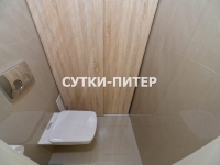 1-комнатная квартира посуточно Санкт-Петербург, Мытнинская набережная, 9: Фотография 33