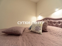 1-комнатная квартира посуточно Санкт-Петербург, Пушкинская, 4: Фотография 14