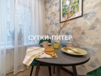 1-комнатная квартира посуточно Санкт-Петербург, Пушкинская, 4: Фотография 28
