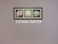 1-комнатная квартира посуточно Санкт-Петербург, 5-я Советская, 47: Фотография 5