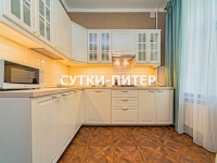 1-комнатная квартира посуточно Санкт-Петербург, Большой пр. П. С. , 79: Фотография 20