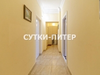 1-комнатная квартира посуточно Санкт-Петербург, пер. Антоненко, 3: Фотография 19