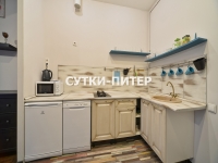 1-комнатная квартира посуточно Санкт-Петербург, Невский пр. , 63: Фотография 18